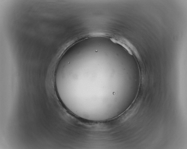 X0000114200385200910091257