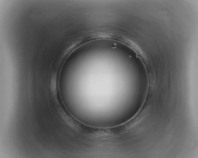 X0000114200386200910091257