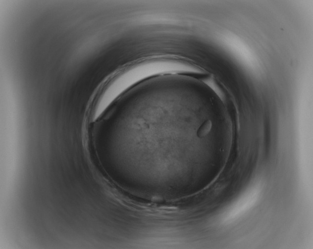 X0000114200387200910091257