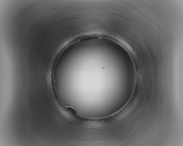 X0000114200389200910091257