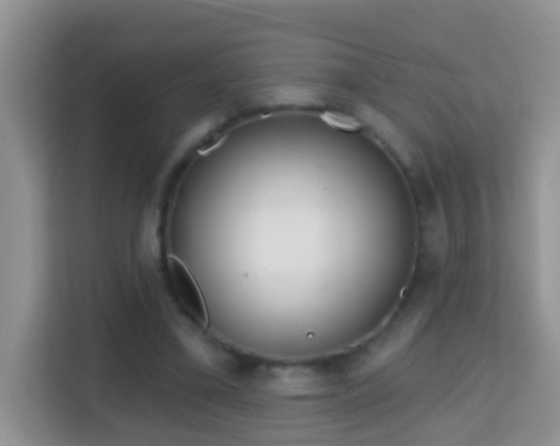 X0000114200395200910091257