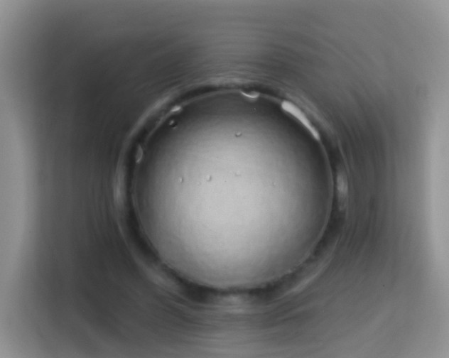 X0000114200396200910091257