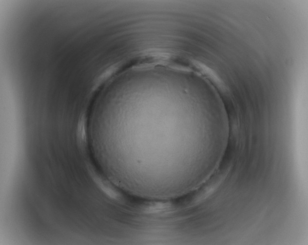 X0000114200398200910091257