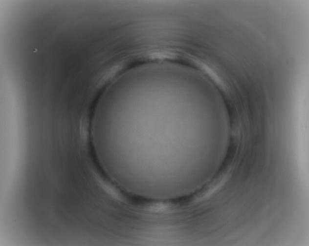 X0000114200402200910091257