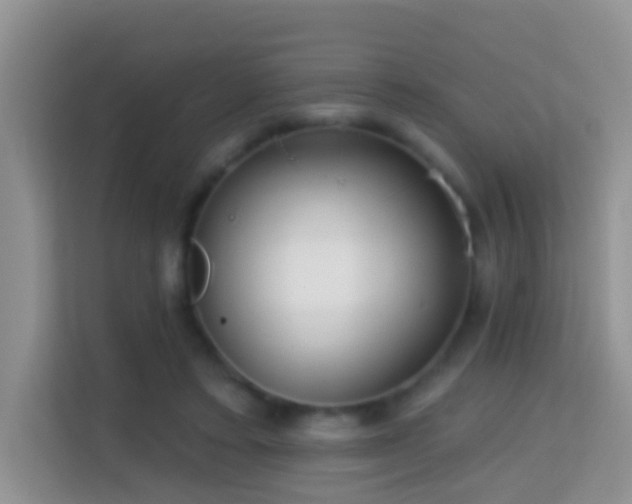 X0000114200403200910091257
