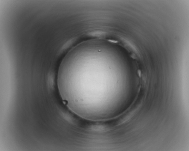X0000114200404200910091257