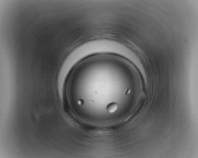 X0000114200405200910091257