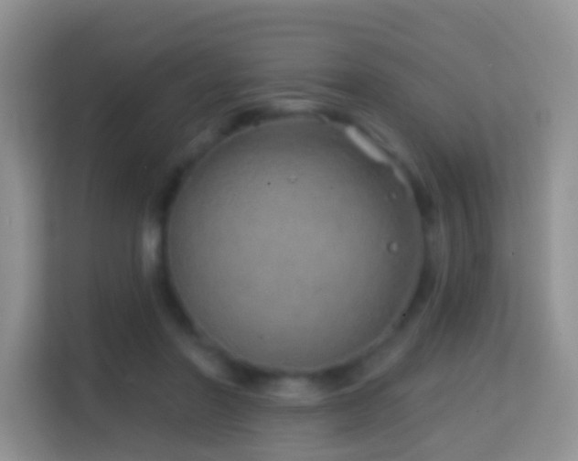 X0000114200406200910091257