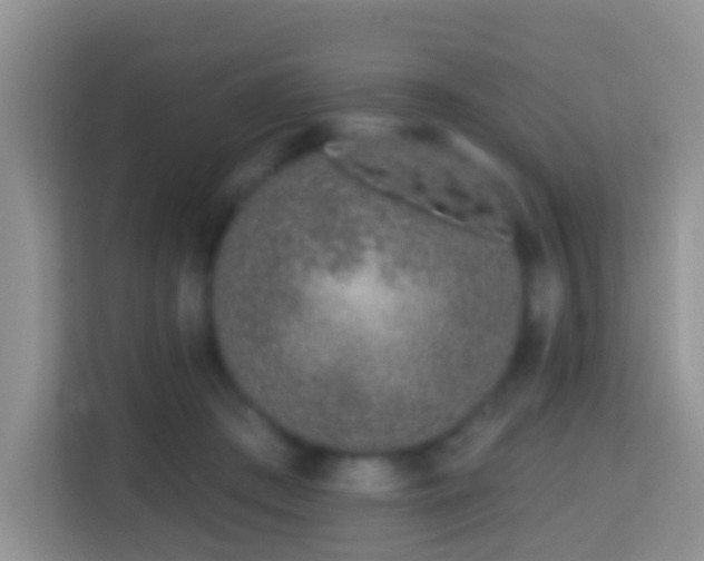 X0000114200409200910091257