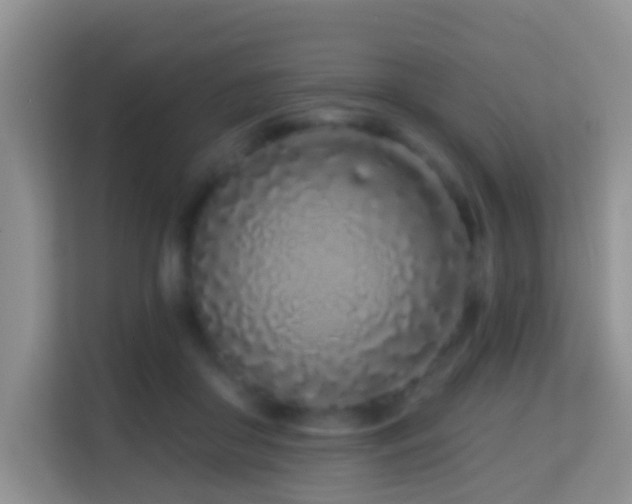 X0000114200410200910091257