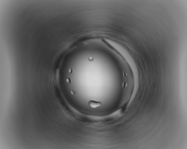 X0000114200411200910091257