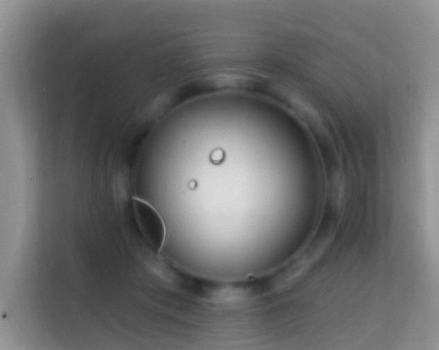 X0000114200413200910091257