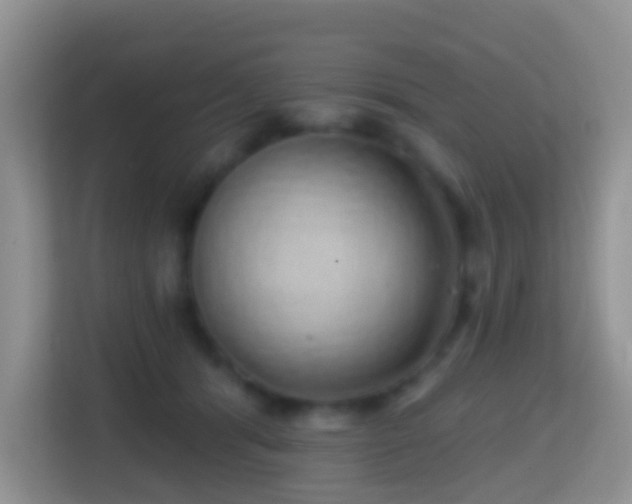 X0000114200416200910091257