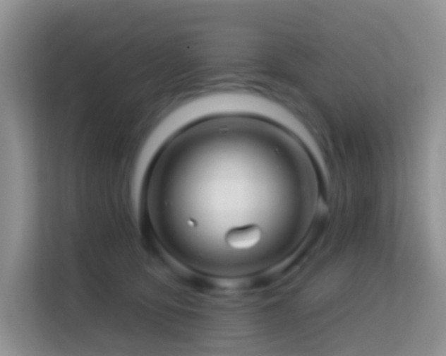 X0000114200419200910091257