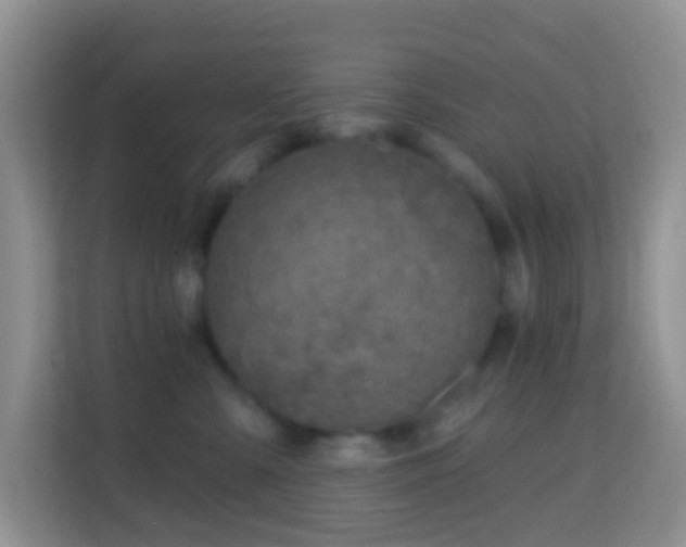 X0000114200427200910091256