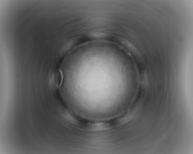 X0000114200428200910091256