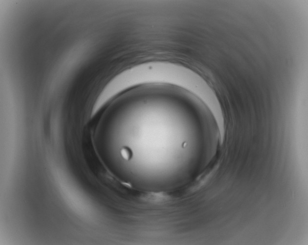 X0000114200429200910091256