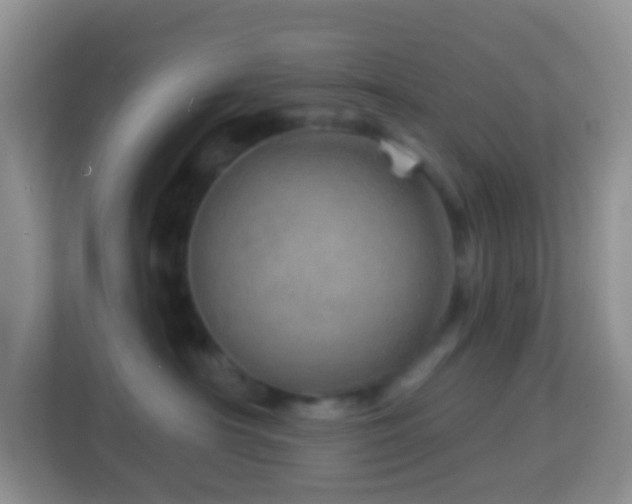 X0000114200430200910091256
