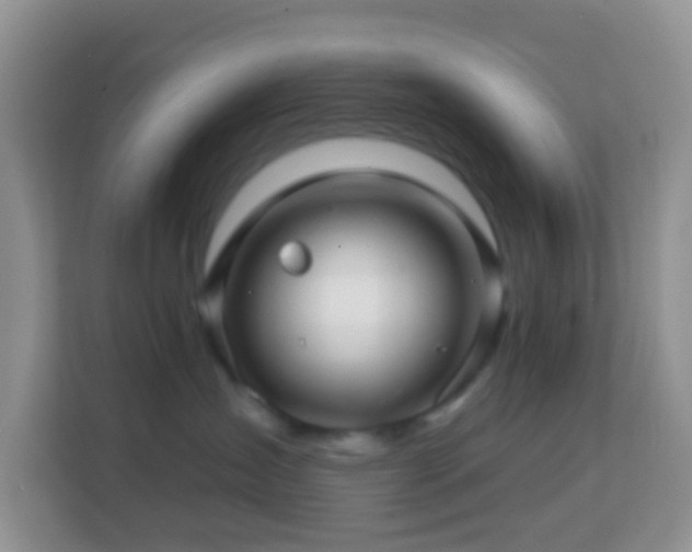 X0000114200431200910091256