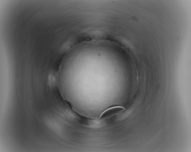 X0000114200432200910091256