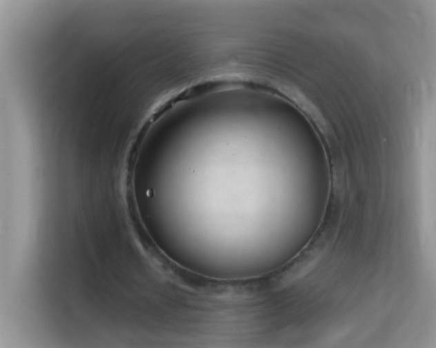 X0000114200434200910091256