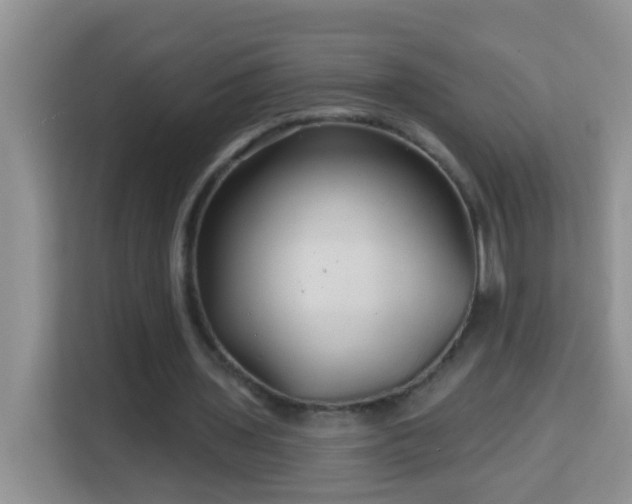 X0000114200435200910091256