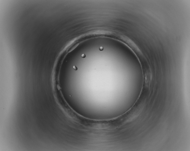 X0000114200436200910091256
