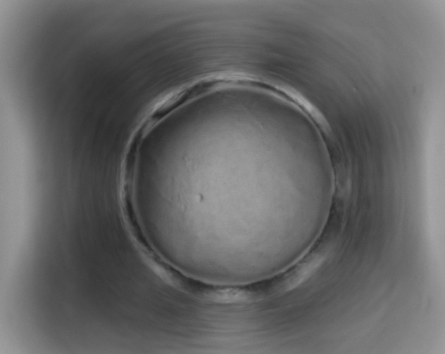 X0000114200437200910091256