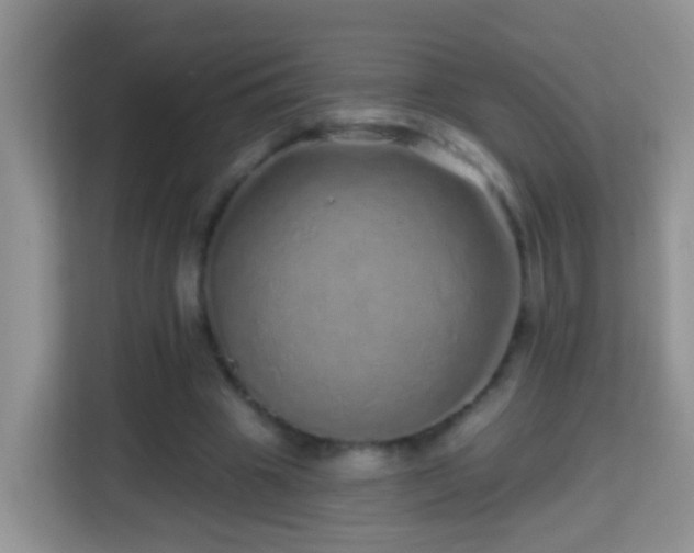 X0000114200441200910091256