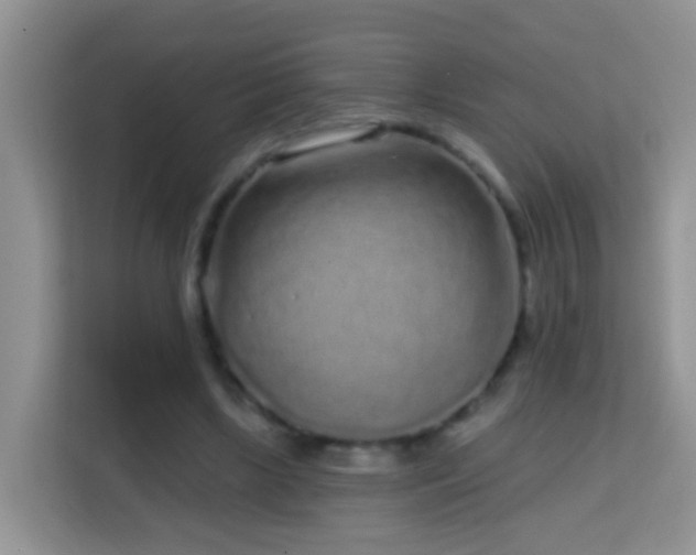 X0000114200443200910091256