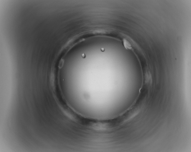X0000114200444200910091256