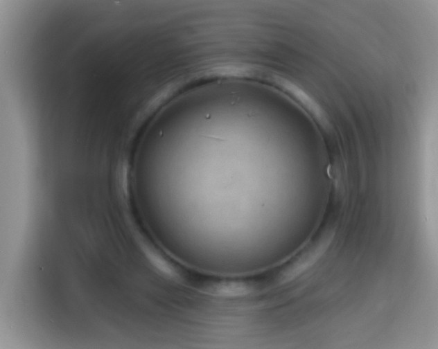 X0000114200445200910091256