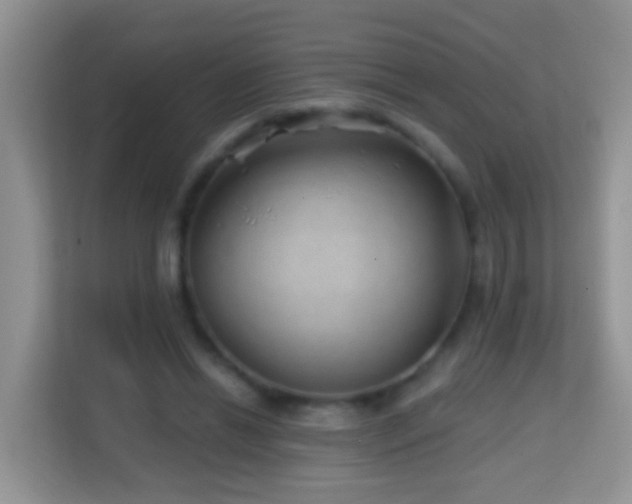 X0000114200446200910091256