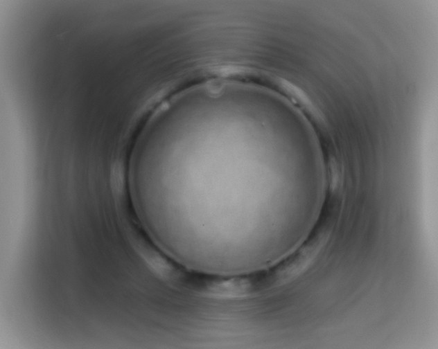 X0000114200447200910091256