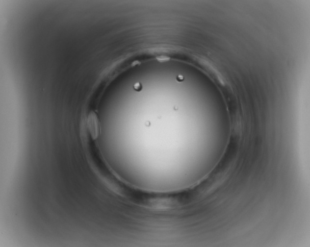 X0000114200448200910091256