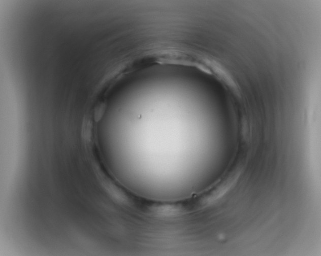 X0000114200449200910091256