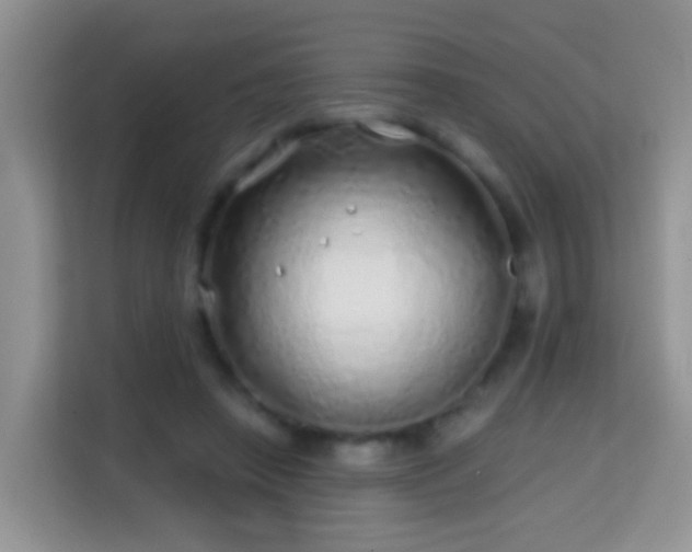 X0000114200450200910091256