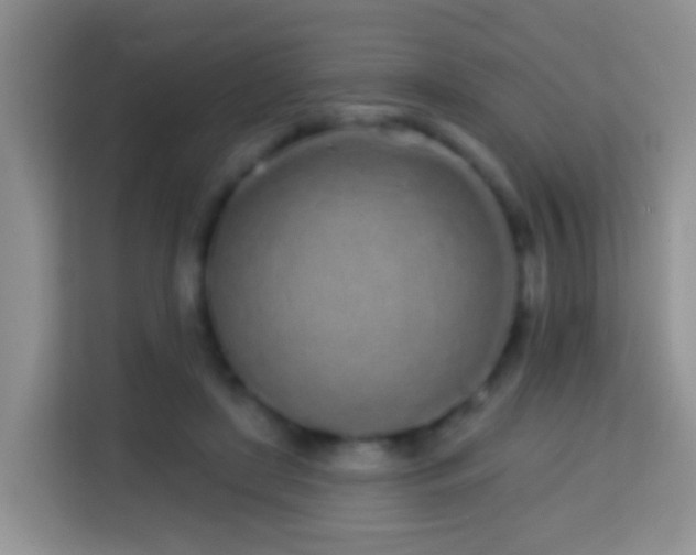 X0000114200451200910091256