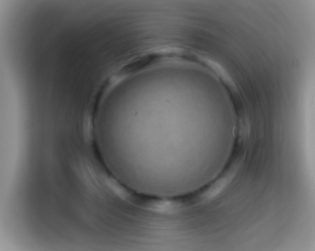 X0000114200453200910091256