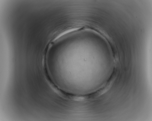 X0000114200454200910091256
