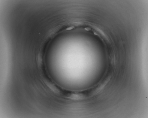 X0000114200455200910091256
