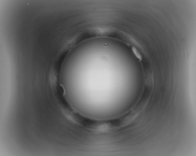 X0000114200456200910091256