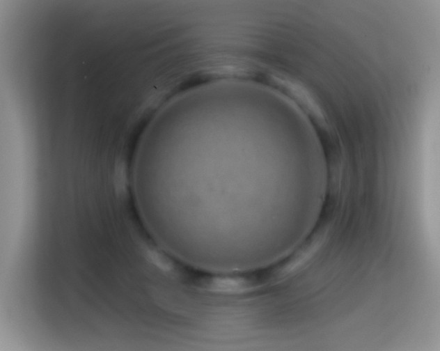X0000114200457200910091256
