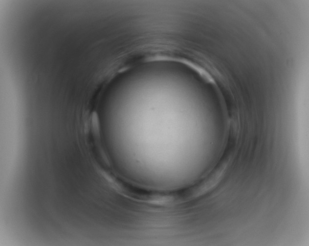 X0000114200458200910091256