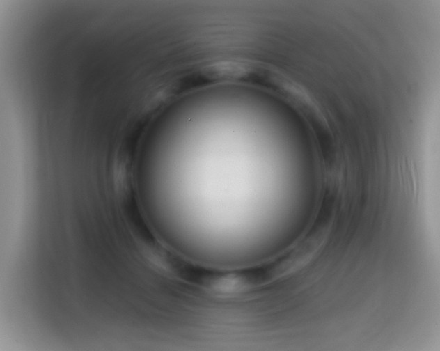 X0000114200460200910091256