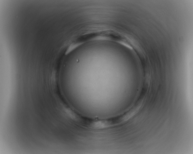 X0000114200461200910091256