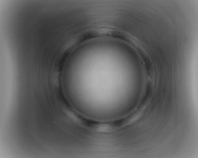 X0000114200462200910091256