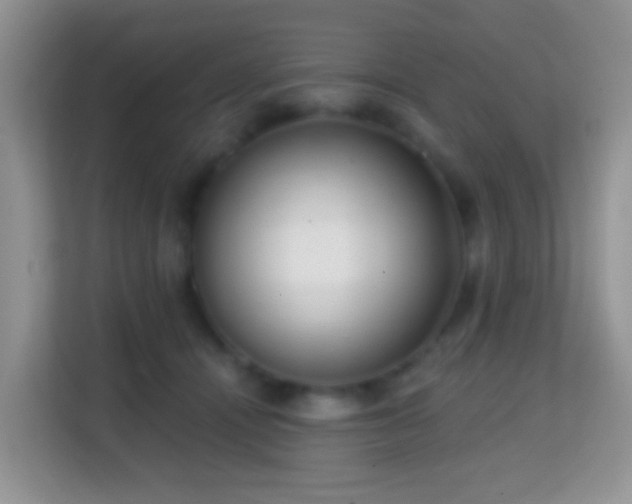 X0000114200464200910091256
