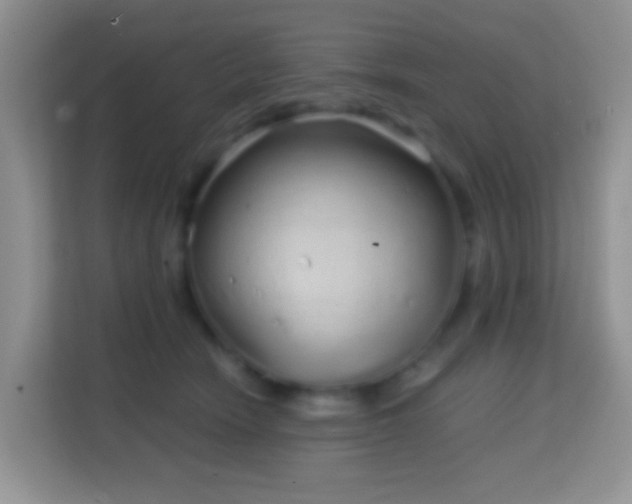 X0000114200466200910091256