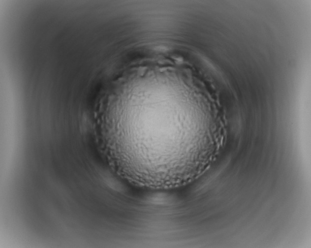 X0000114200467200910091256